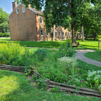 Image for Fairway - Fall Ethnobotany Class - Shawneee Indian Mission State Historic Site