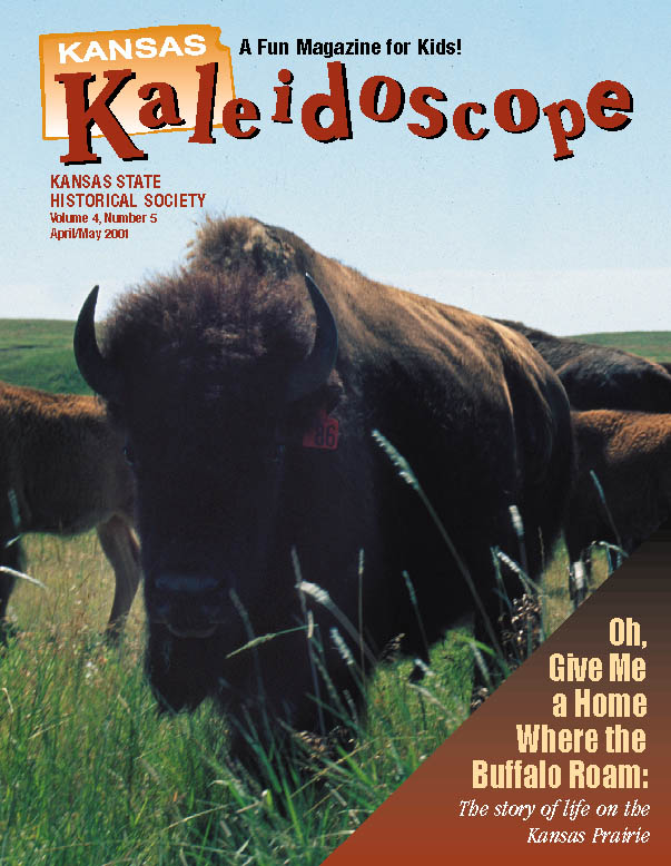 Kansas Kaleidoscope, April/May 2001