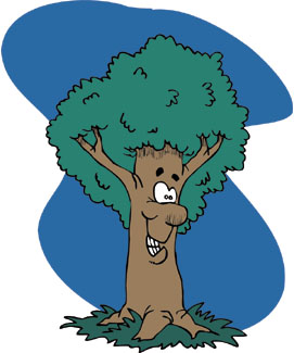 The cottonwood is a tall and fast-growing native tree with many uses