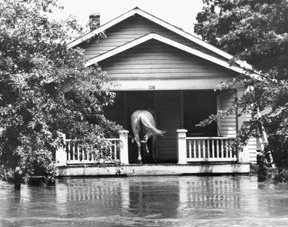 1951 flood