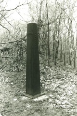 Picture of property
