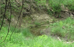 Picture of property