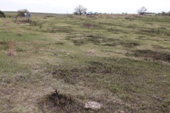 Picture of property